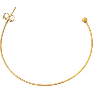 2 inch hoop earrings with 6 charms women’s 18k gold plated over Brass